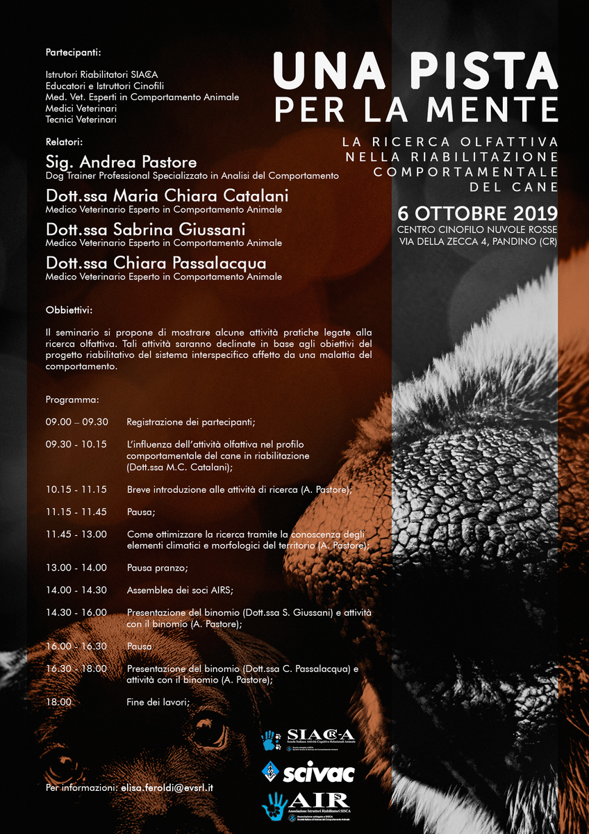 Seminario AIRS Secondo Semestre 2019